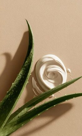 Aloe Vera Skincare for Clear & Hydrated Skin 🌿